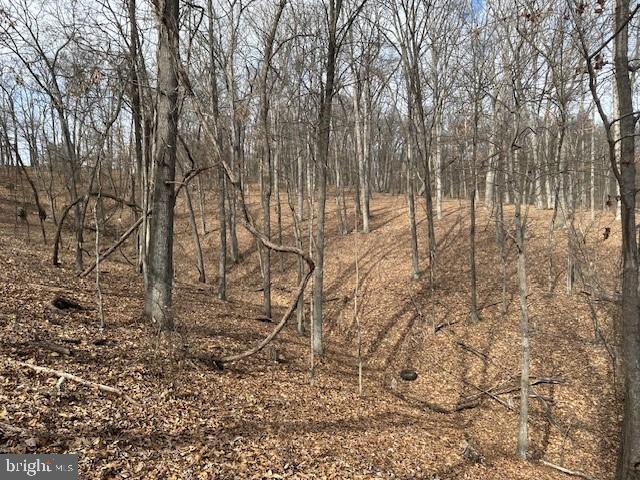 CABIN ON THE MOUNTAIN - Land