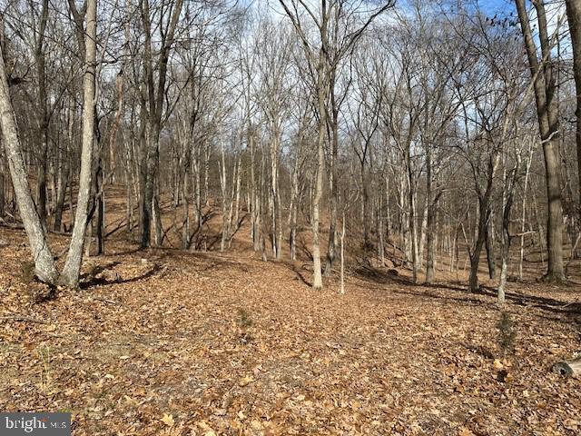 CABIN ON THE MOUNTAIN - Land