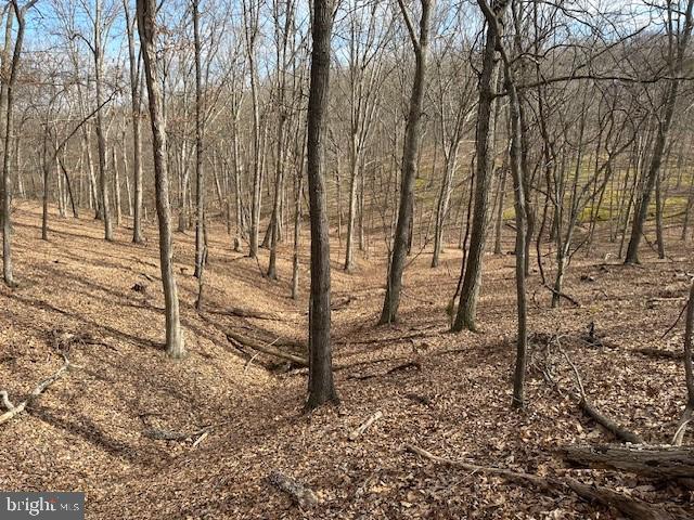 CABIN ON THE MOUNTAIN - Land
