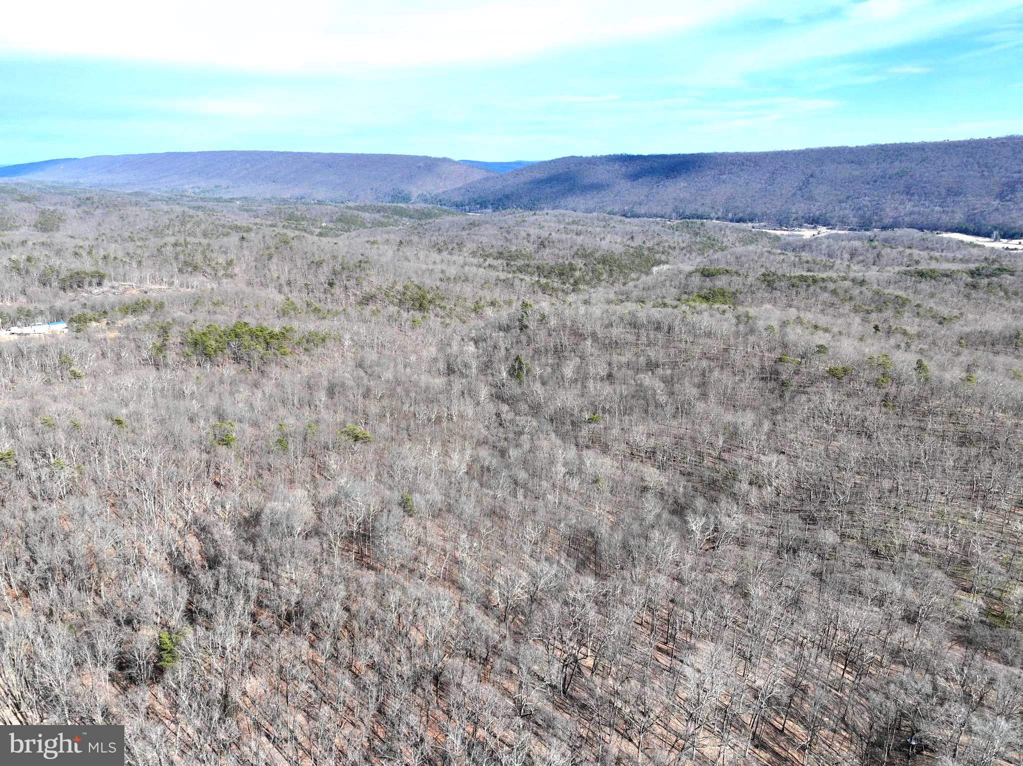 CABIN ON THE MOUNTAIN - Land