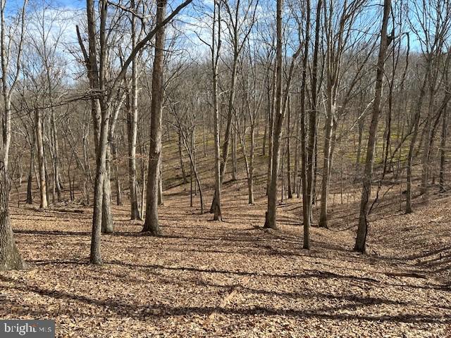 CABIN ON THE MOUNTAIN - Land