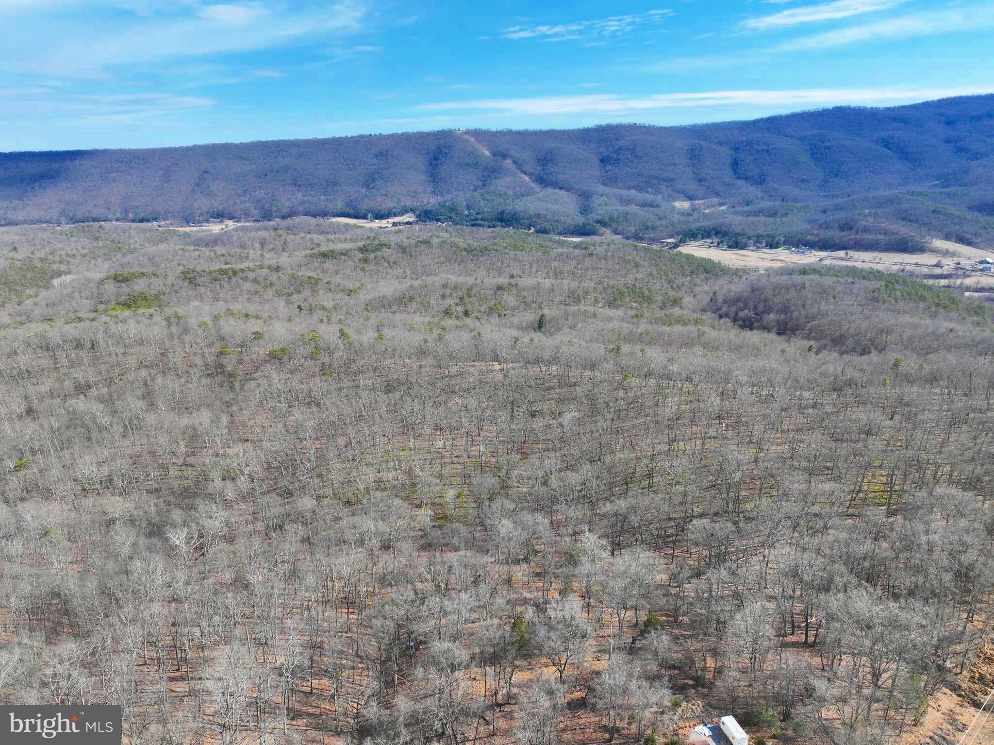 CABIN ON THE MOUNTAIN - Land
