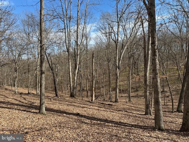 CABIN ON THE MOUNTAIN - Land