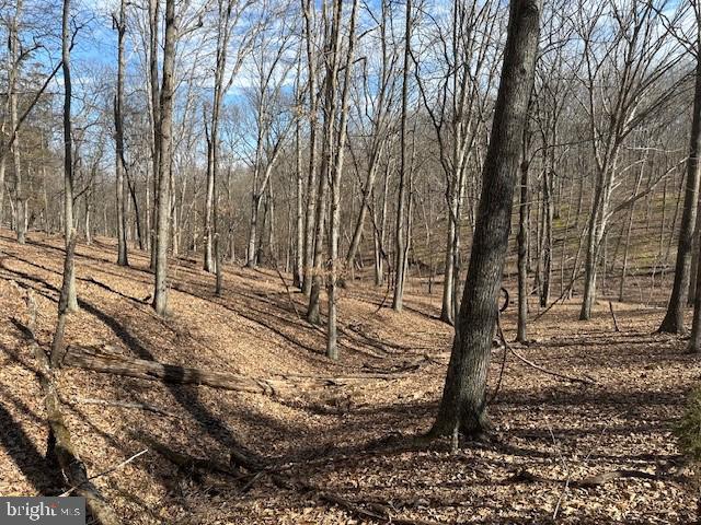 CABIN ON THE MOUNTAIN - Land