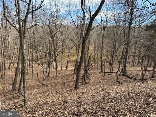 CABIN ON THE MOUNTAIN - Land