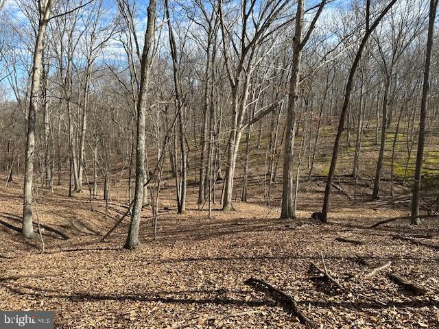 CABIN ON THE MOUNTAIN - Land