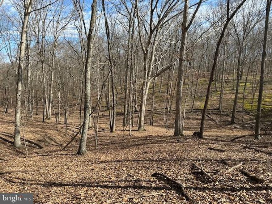 15.02 Acres of West Virginia Paradise – Hunt, Build, Escape! Just 15 minutes west of Romney, WV, and under two hours from Washington, D.C., this 15.02-acre sanctuary is your gateway to adventure, offering the perfect blend of seclusion and accessibility. Whether you're looking for a turnkey hunting property, a weekend getaway, or a future homesite, this land is ready to go. A driveway is already in place, along with a drilled well and a septic system originally designed for an RV but fully capable of expansion to accommodate any size home you desire. Additional features include a storage building and a shipping container, making on-site storage easy and convenient. This property is a hunter’s dream, featuring towering oak timber and an abundance of deer and turkeys. With two box blinds already set up, you're ready to hit the woods for spring turkey season or get ahead of the game for the big boom in November. Beyond hunting, the location is ideal for outdoor enthusiasts, sitting just minutes from the South Branch of the Potomac River, where you can fish, kayak, and enjoy easy access to some of the area's best public hunting and recreation lands. If you're looking for a prime piece of West Virginia land that’s ready for immediate enjoyment, this is it. Don't miss out on this rare opportunity to own a versatile, well-equipped property in the heart of wild and wonderful West Virginia.