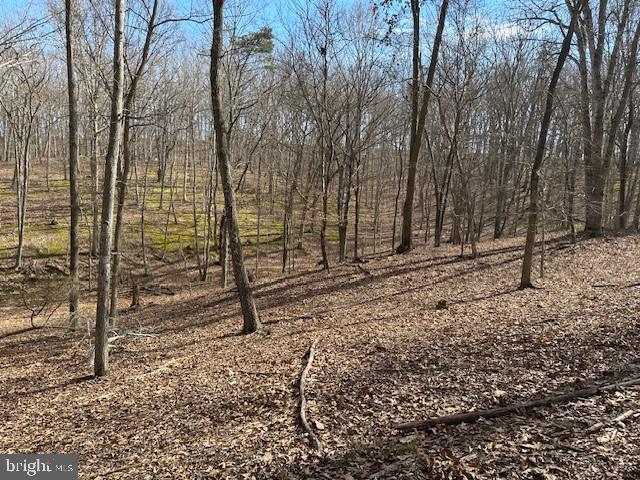 CABIN ON THE MOUNTAIN - Land