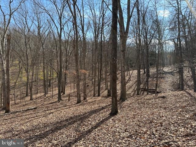 CABIN ON THE MOUNTAIN - Land