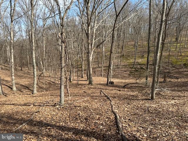 CABIN ON THE MOUNTAIN - Land