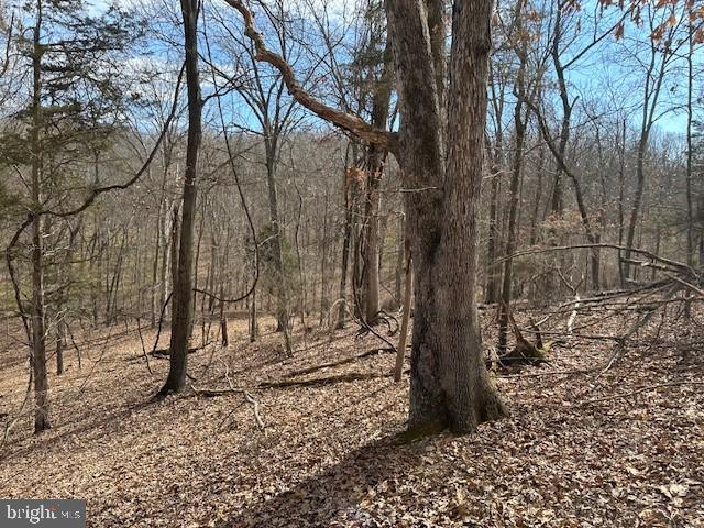 CABIN ON THE MOUNTAIN - Land