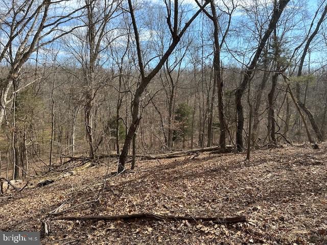 CABIN ON THE MOUNTAIN - Land