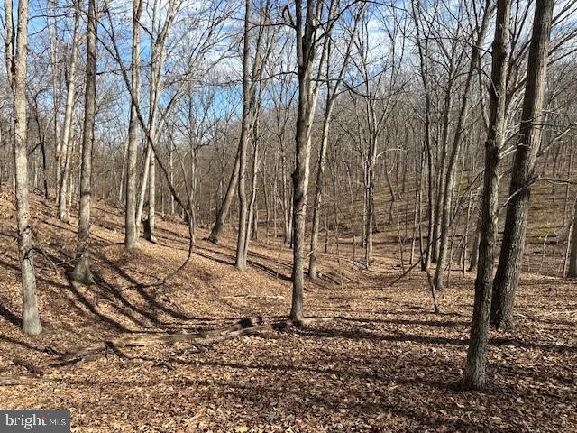 CABIN ON THE MOUNTAIN - Land