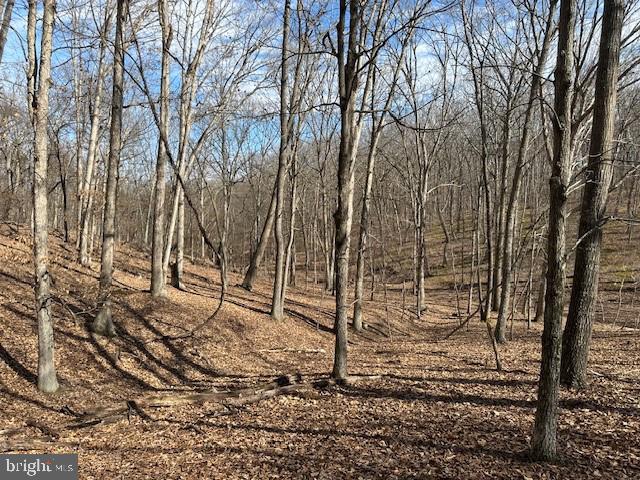 CABIN ON THE MOUNTAIN - Land