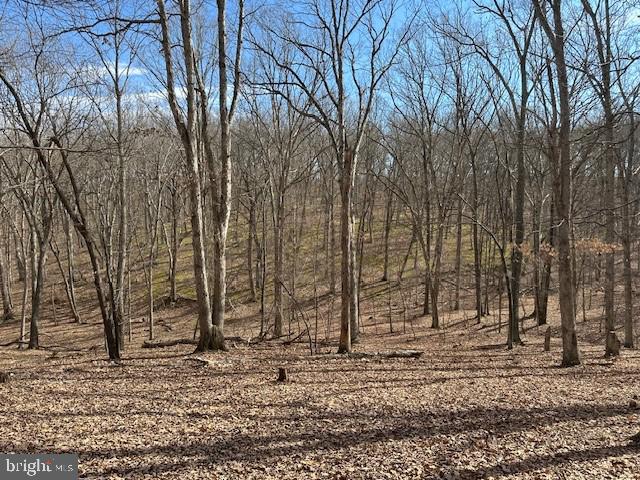 CABIN ON THE MOUNTAIN - Land