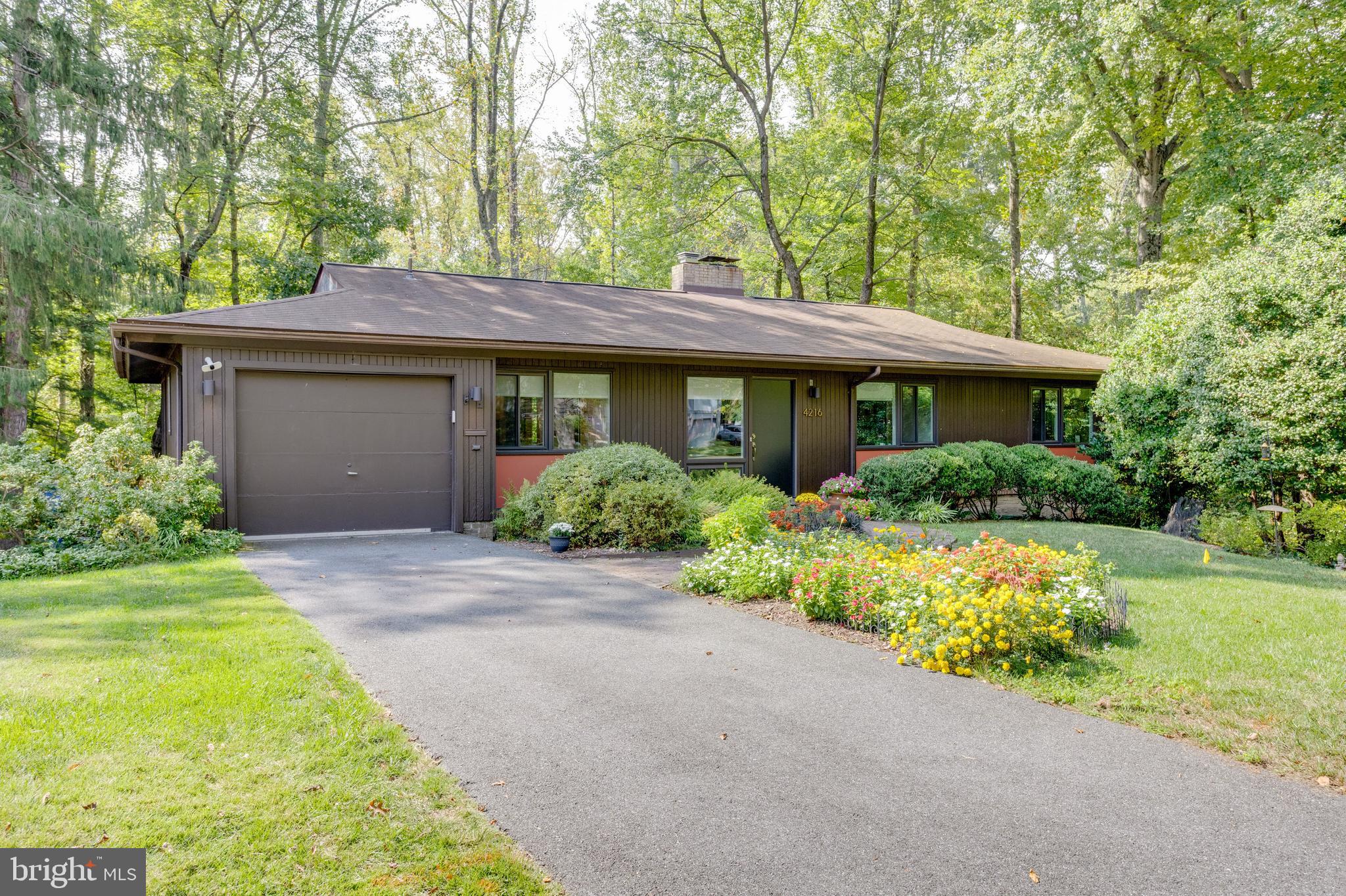 4216 ELIZABETH LANE