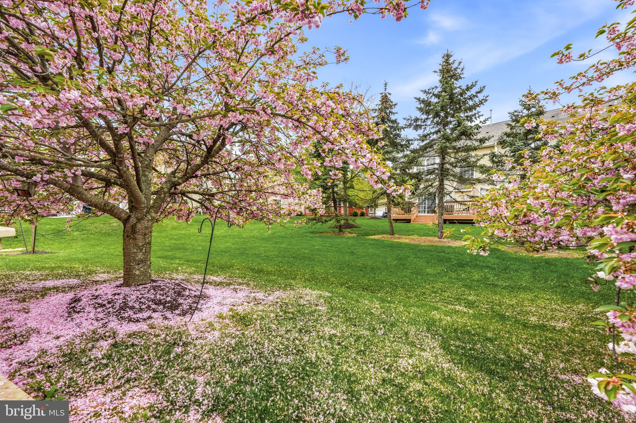 WINDRUSH - Residential