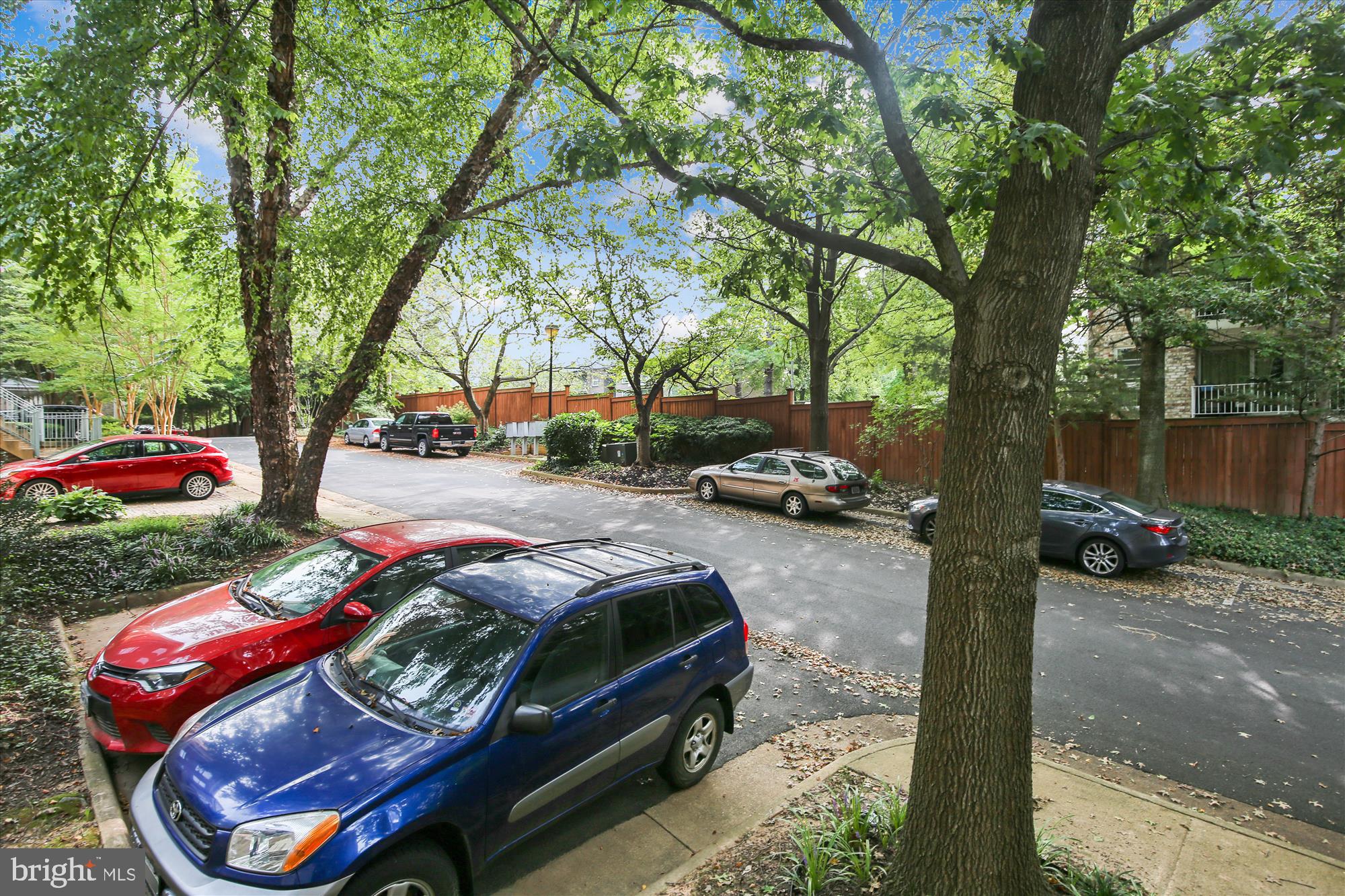 REES ESTATE - Residential Lease