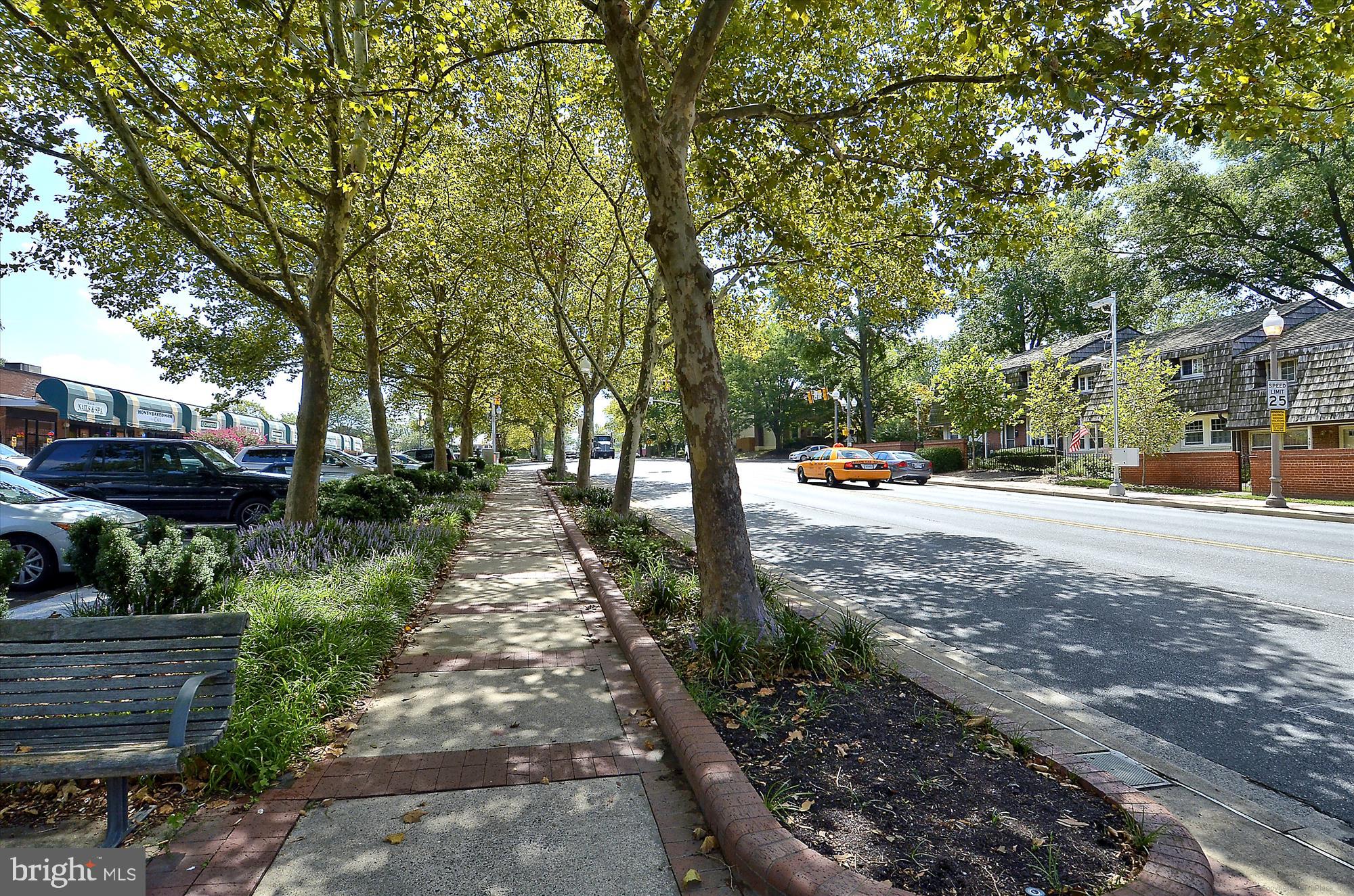 REES ESTATE - Residential Lease