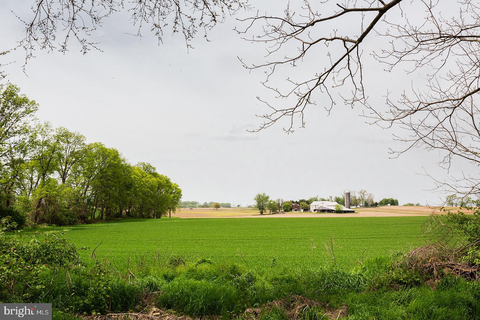 LONGWOOD SQUARE - Residential