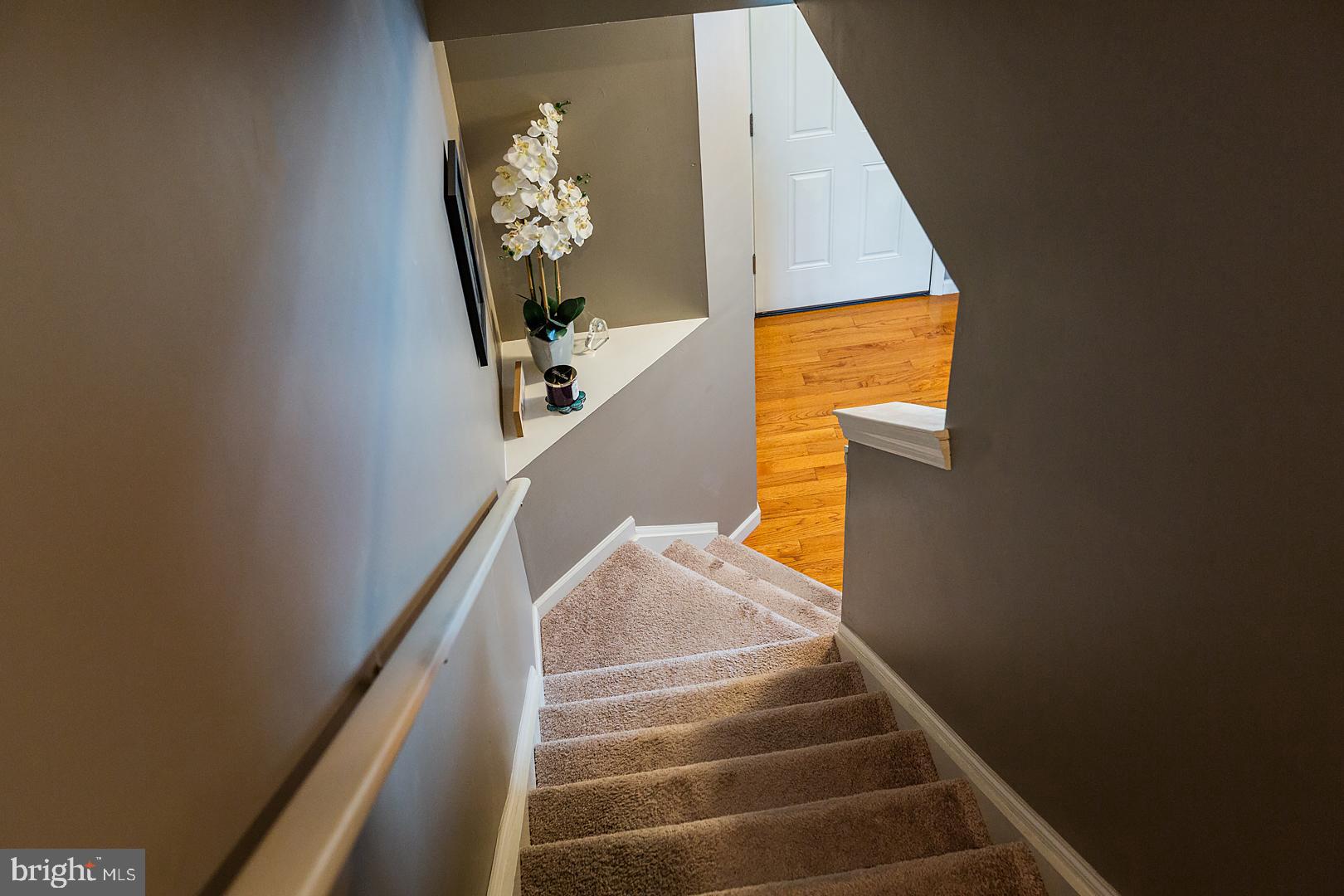 LONGWOOD SQUARE - Residential