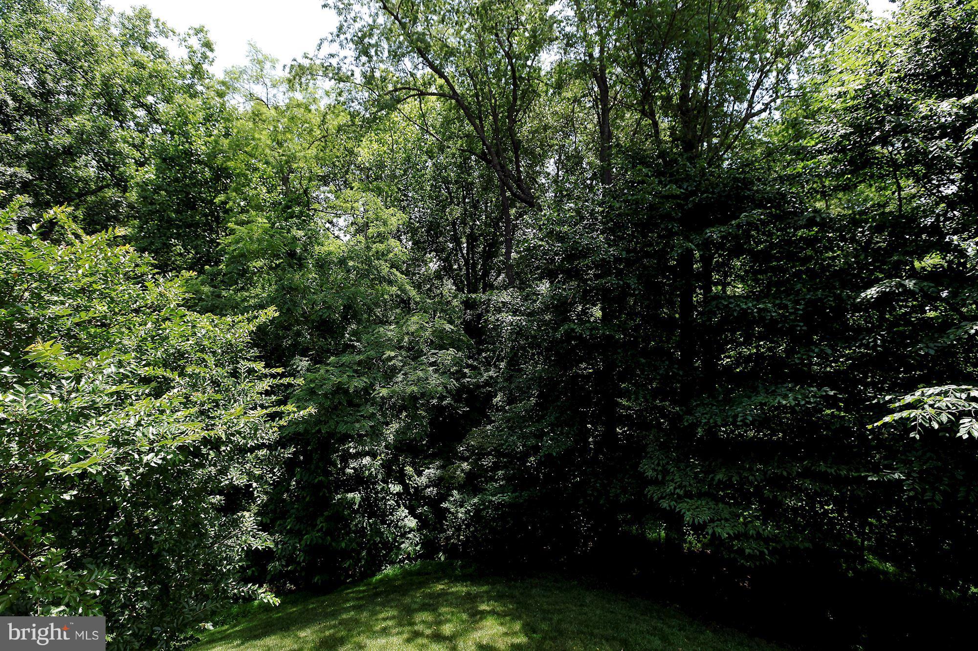 RIVER FALLS - Residential