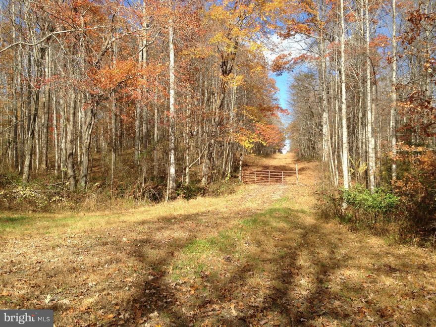 Gently rolling wooded lot in beautiful Rappahannock county that is perfect for building your dream home. Ideal for nature watching as birds, deer, and wild turkey are regularly seen on the property. Buy the 2 adjoining lots (51+ acre property on the northern boundary and 84+ acre lot on the western boundary) and you will have 187+ acres of peaceful living.