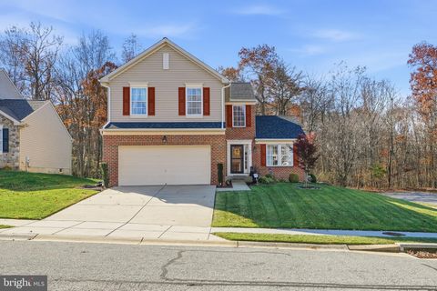 259 THOMAS JEFFERSON TERRACE ELKTON MD 21921