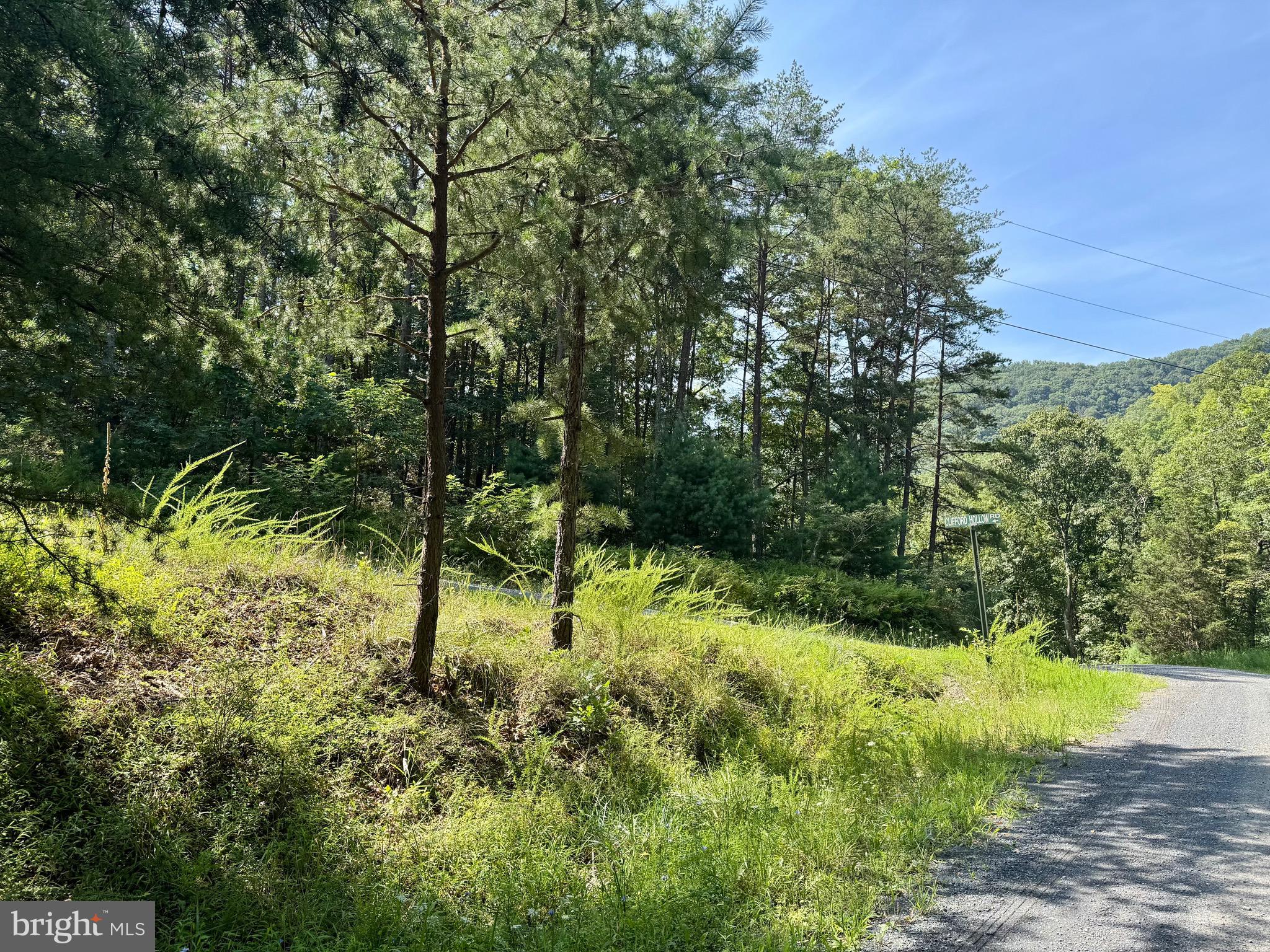 Lot 3 CLIFFORD HOLLOW ROAD