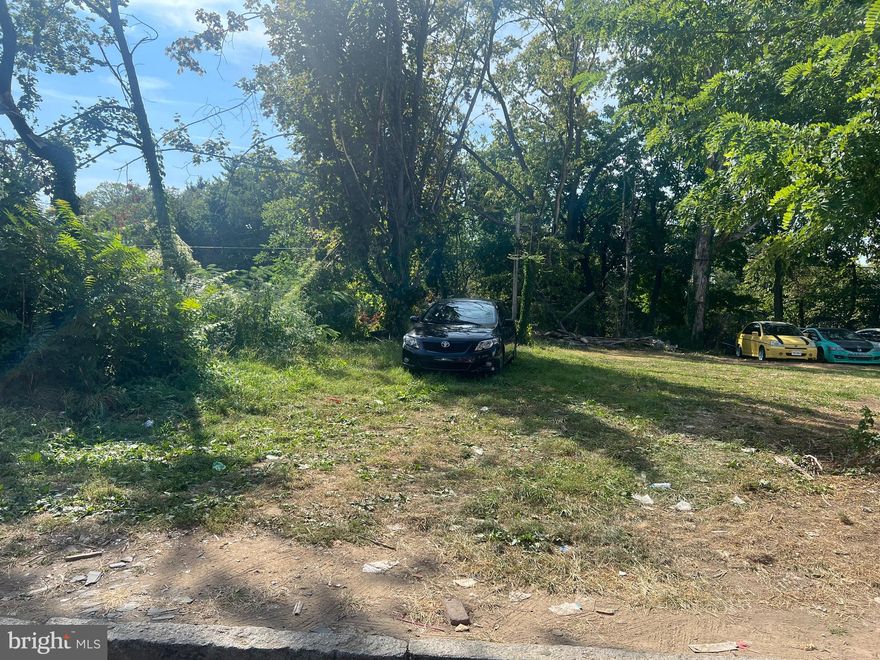 Vacant Lot for Sale. Can be sold with adjoining lots 1185,1187,1195, 1197, 1199, 1201, 1203 and 1205.