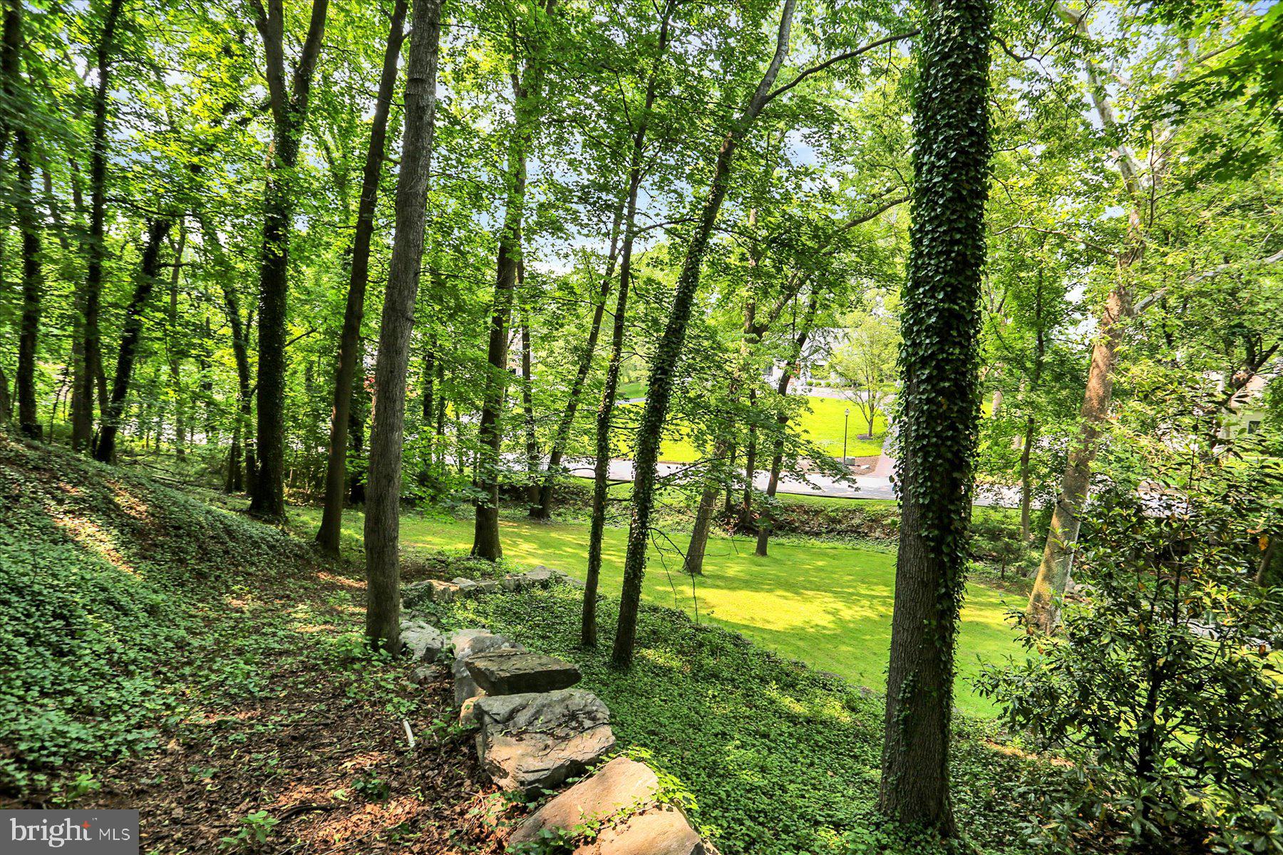 THE CLIFFS - Residential