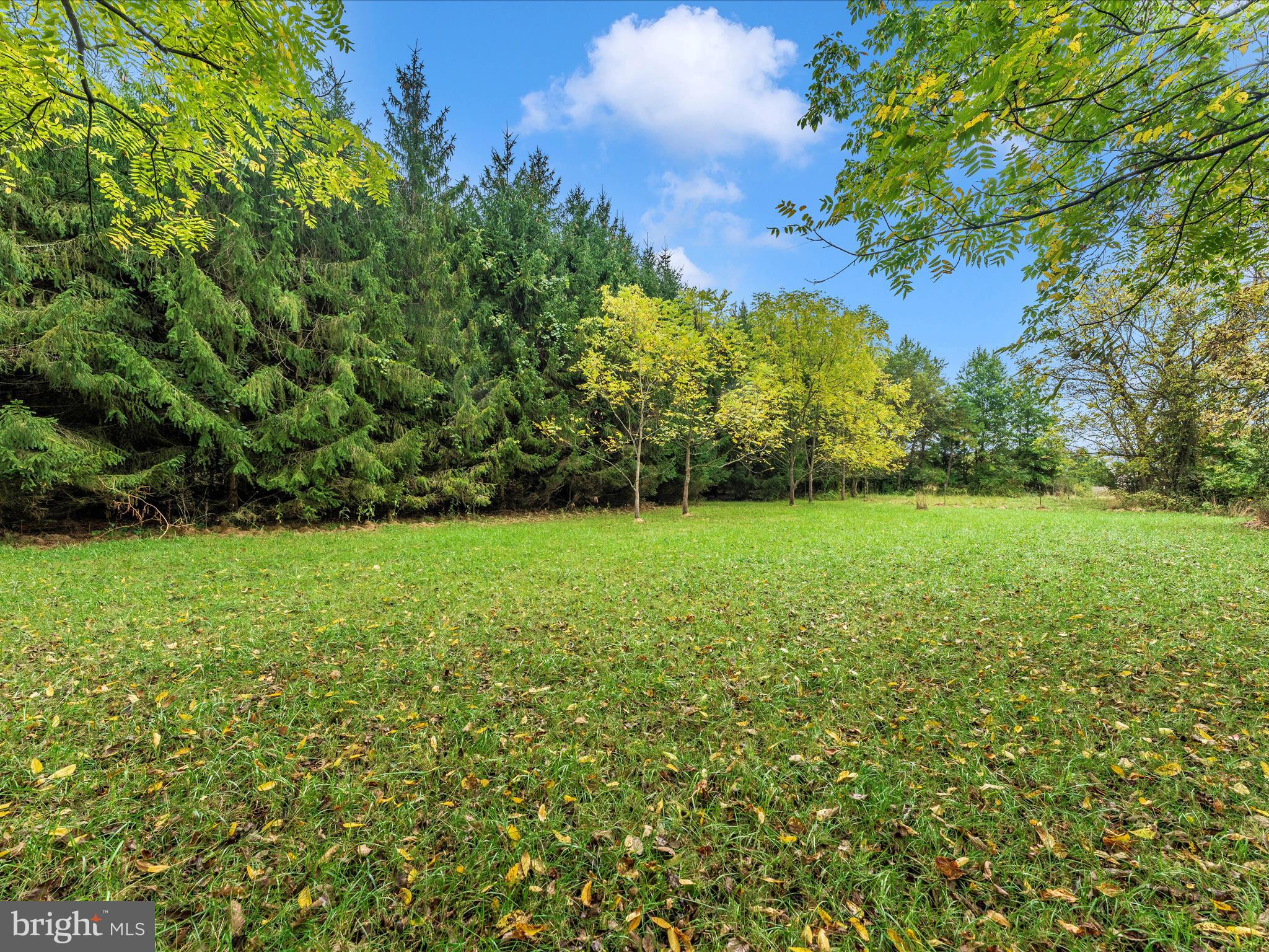 LONGVIEW ESTATES - Residential