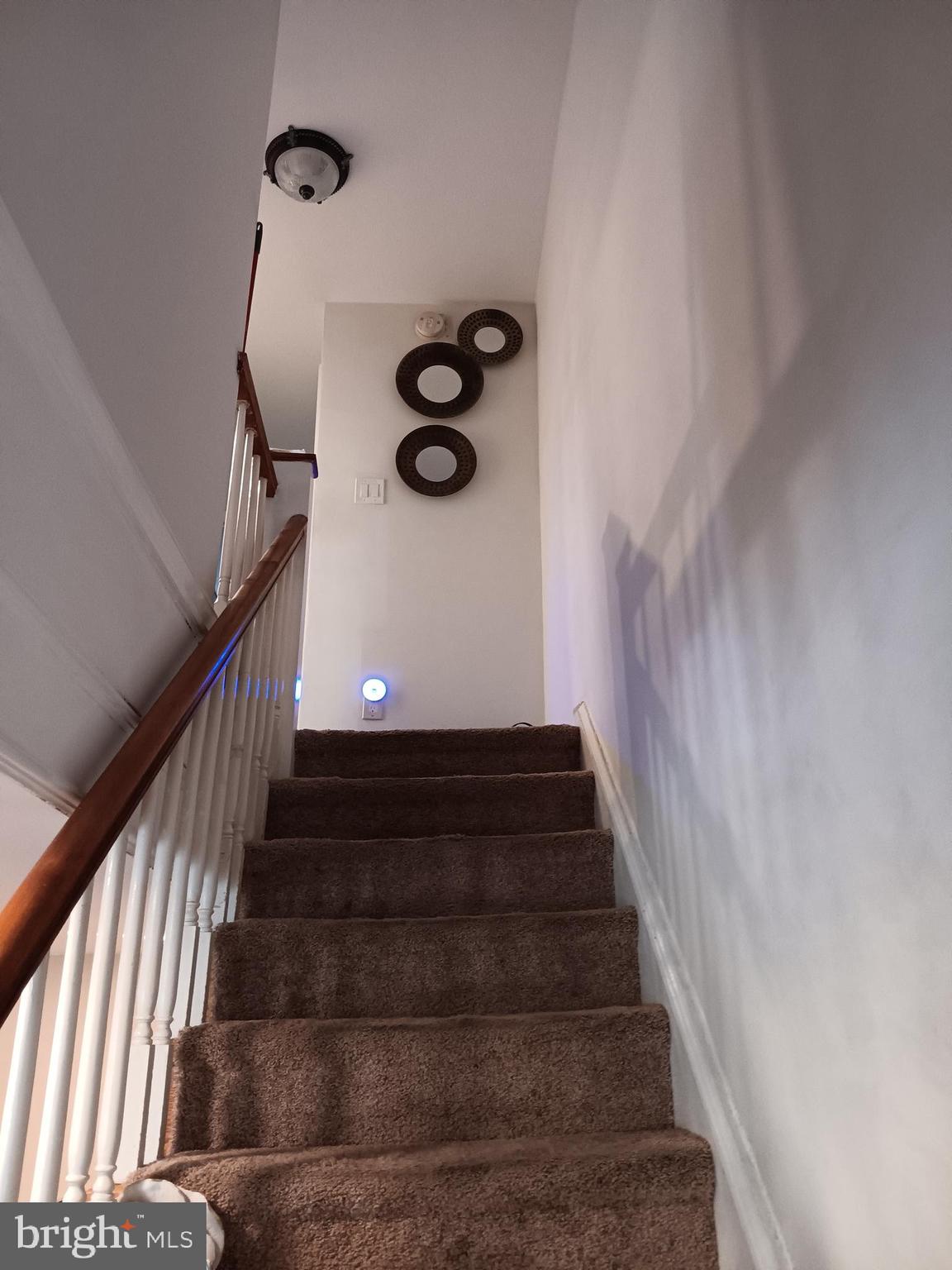 CASTOR GARDENS - Residential