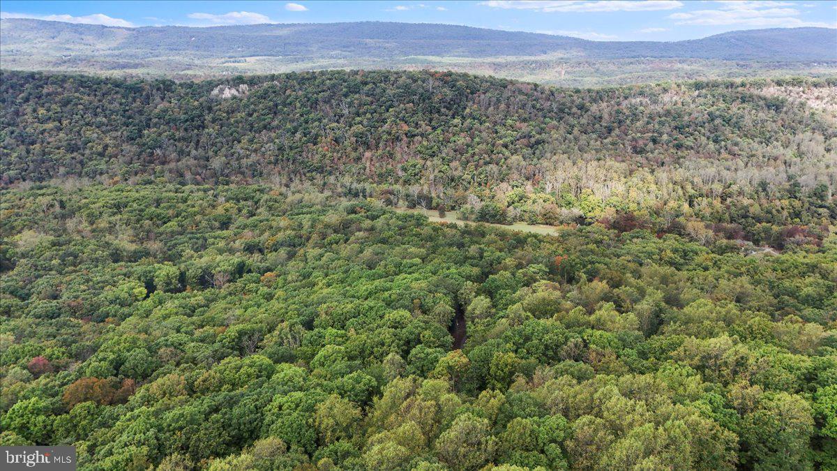 ROUSE MOUNTAIN - Residential