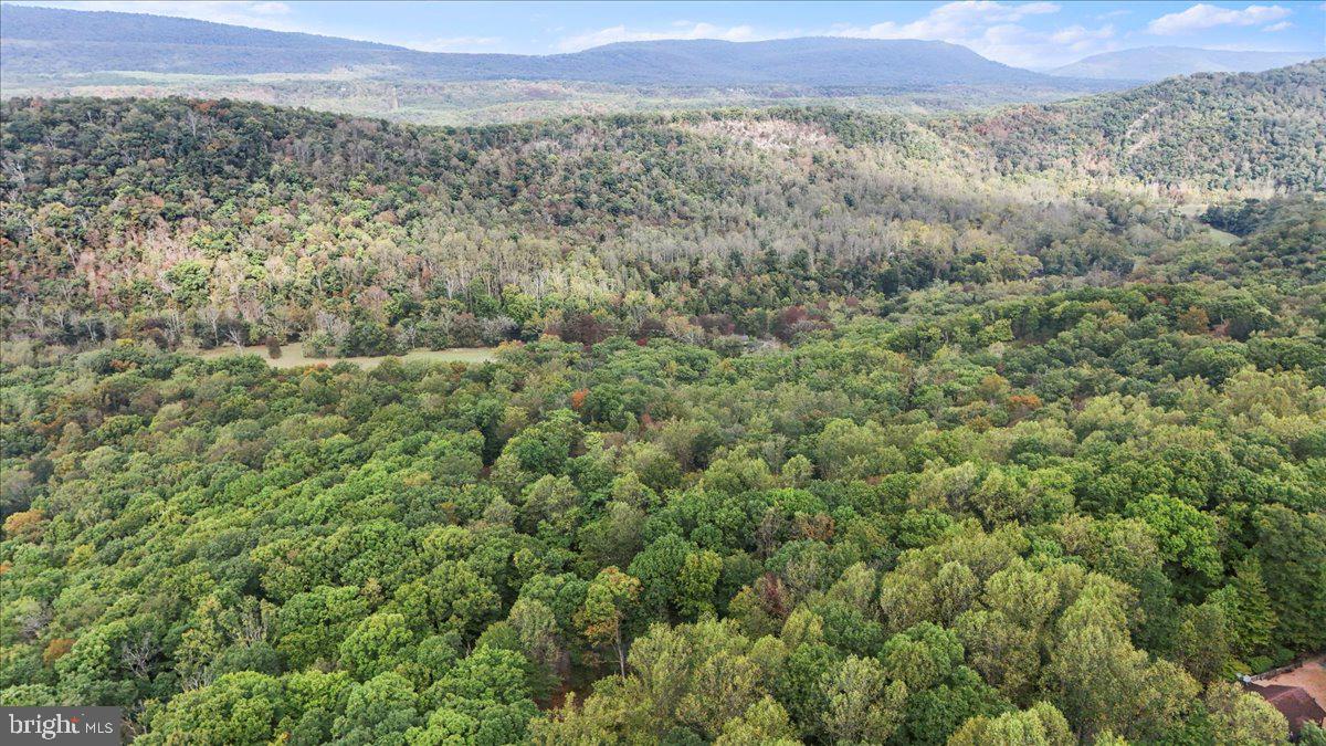 ROUSE MOUNTAIN - Residential