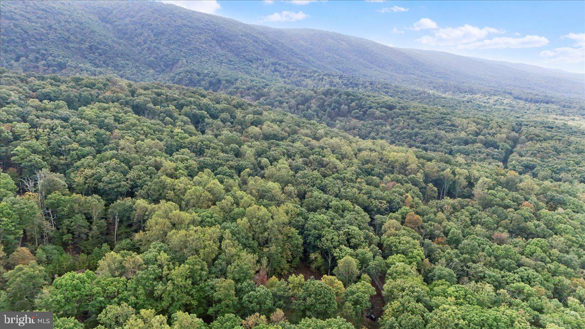 ROUSE MOUNTAIN - Residential