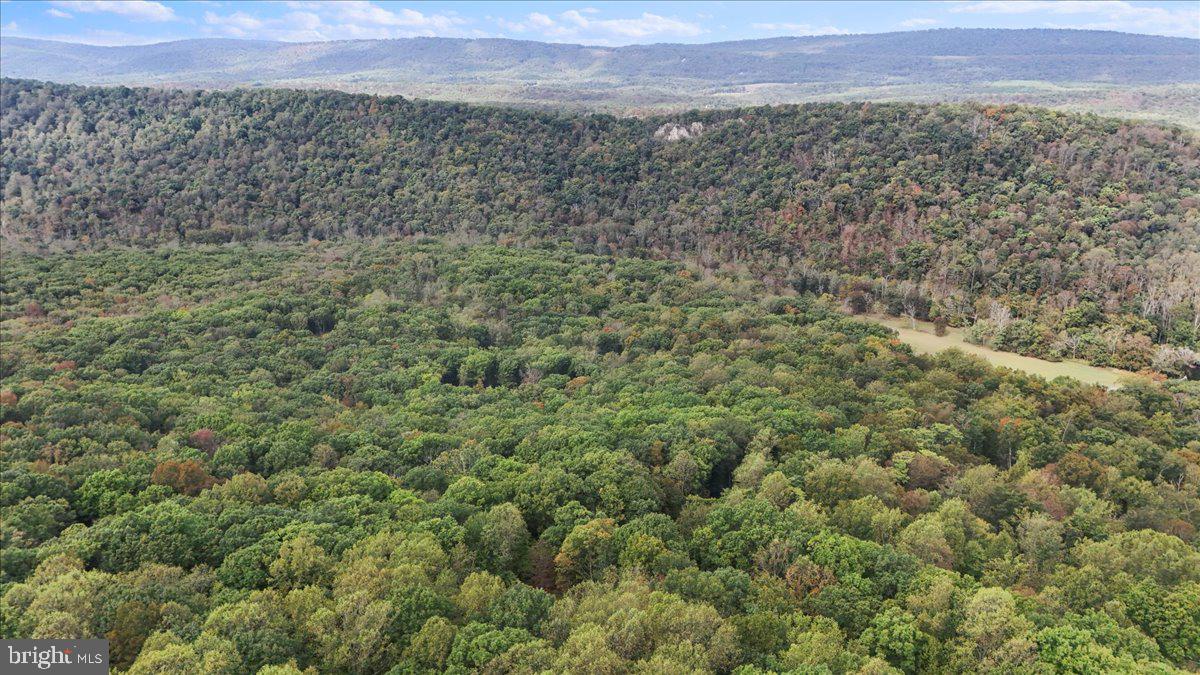 ROUSE MOUNTAIN - Residential