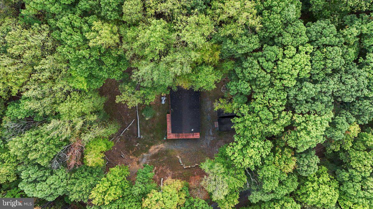 ROUSE MOUNTAIN - Residential