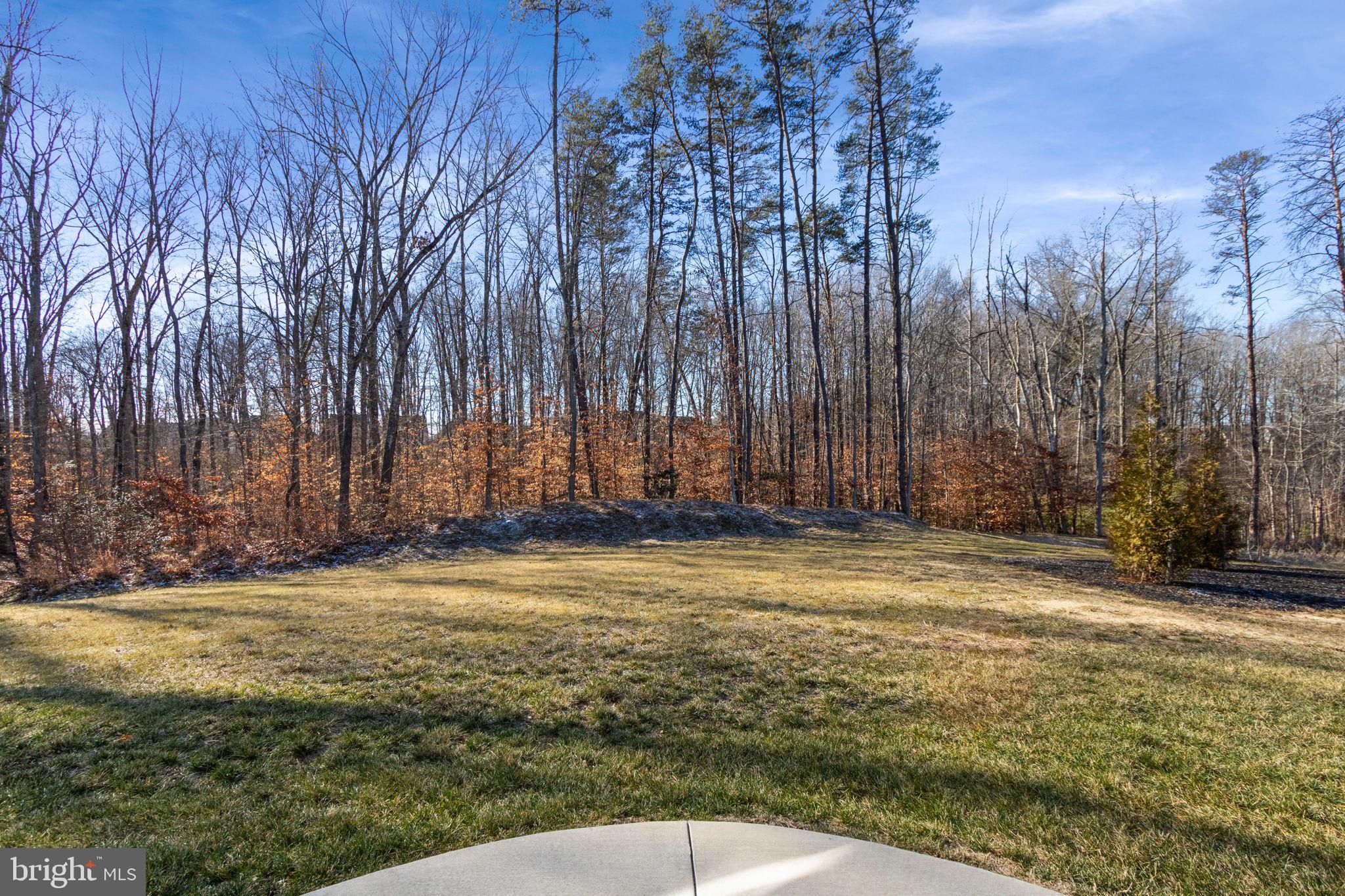 REGENCY AT CHANCELLORSVILLE NORTH - Residential