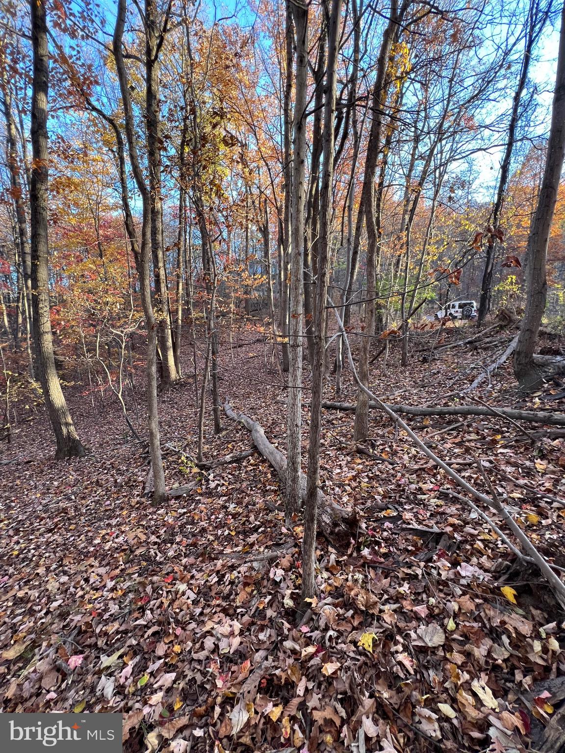 SHENANDOAH FARMS - Land