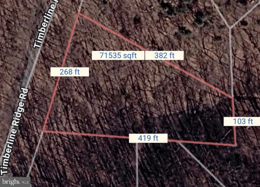 SHENANDOAH FARMS - Land