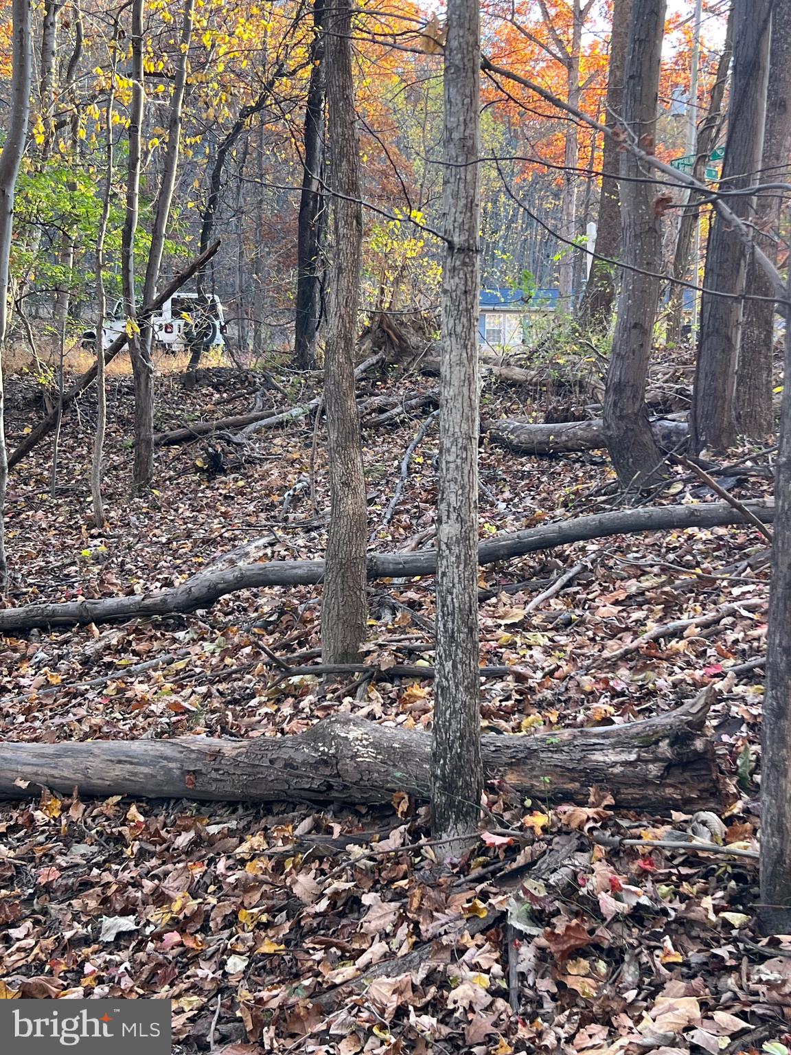 SHENANDOAH FARMS - Land