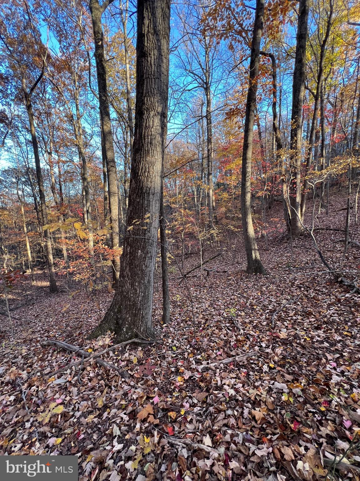 SHENANDOAH FARMS - Land