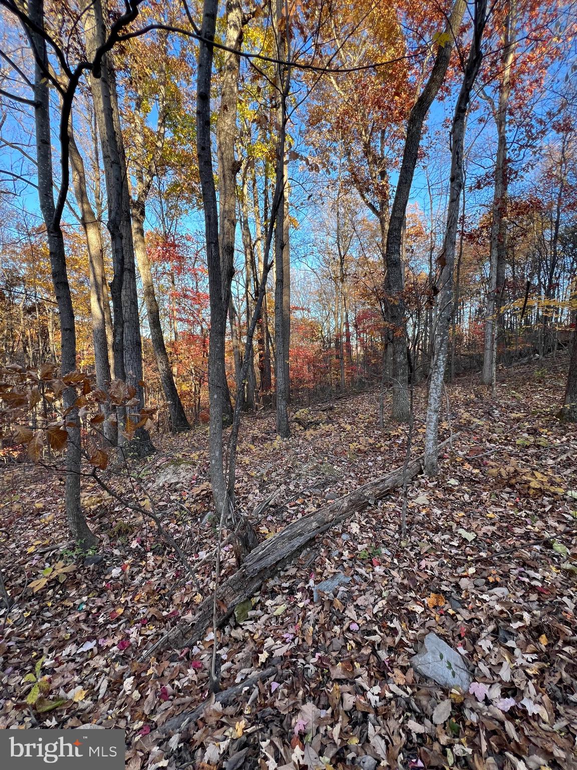 SHENANDOAH FARMS - Land