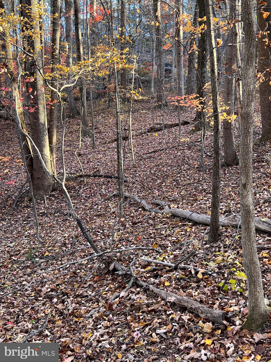 SHENANDOAH FARMS - Land