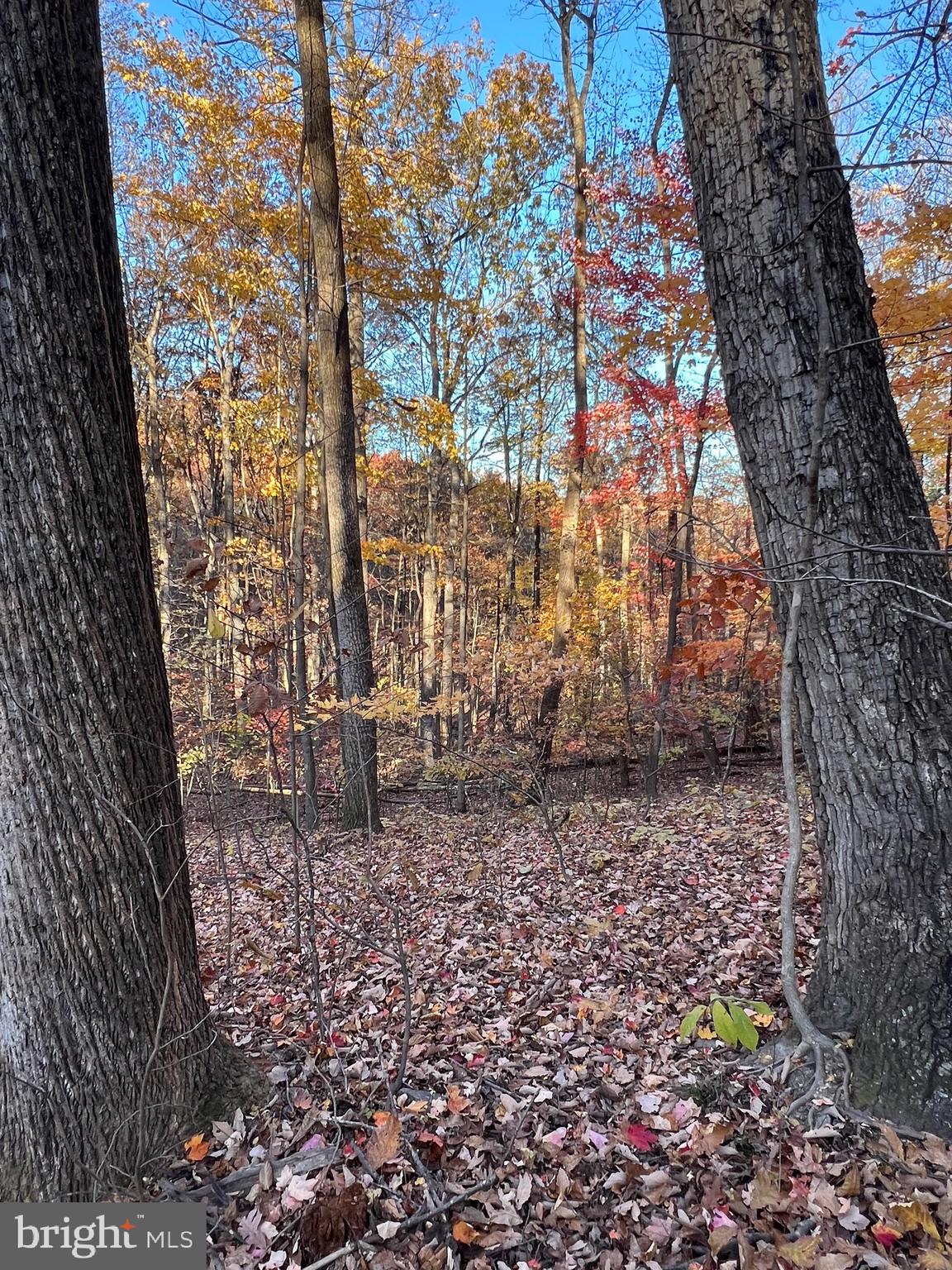 SHENANDOAH FARMS - Land