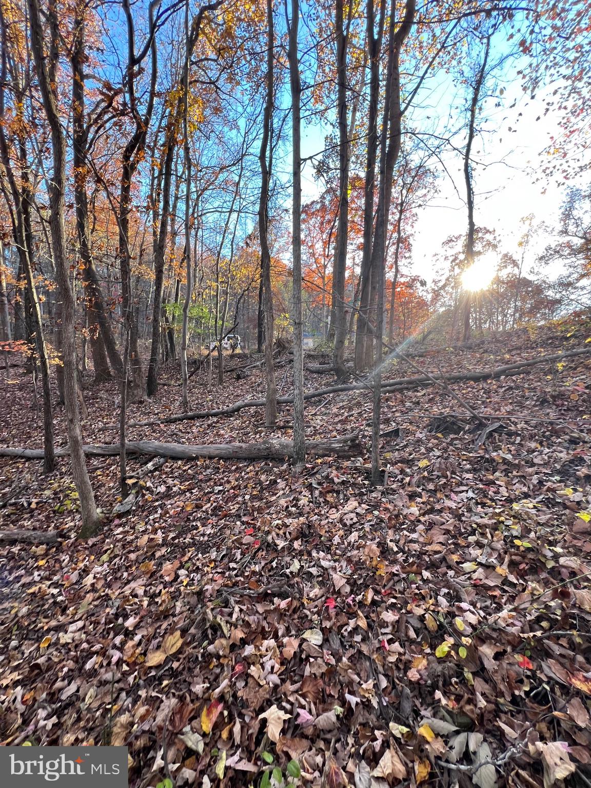 SHENANDOAH FARMS - Land