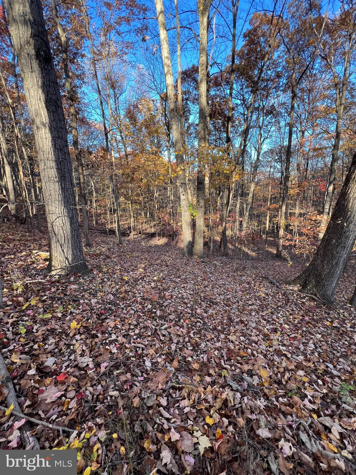 SHENANDOAH FARMS - Land