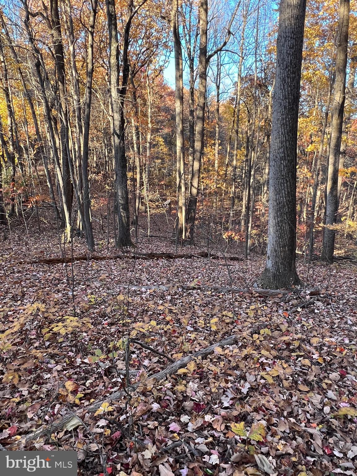 SHENANDOAH FARMS - Land