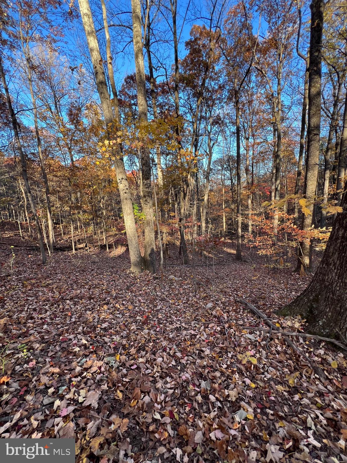 SHENANDOAH FARMS - Land